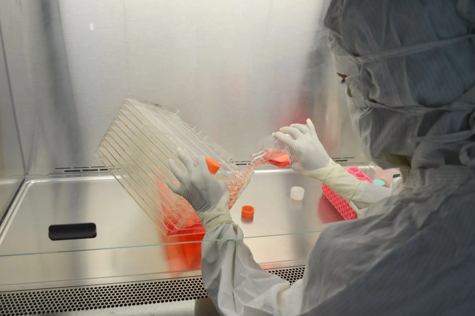 生物降解膜与普通PE膜性能对比及选型建议