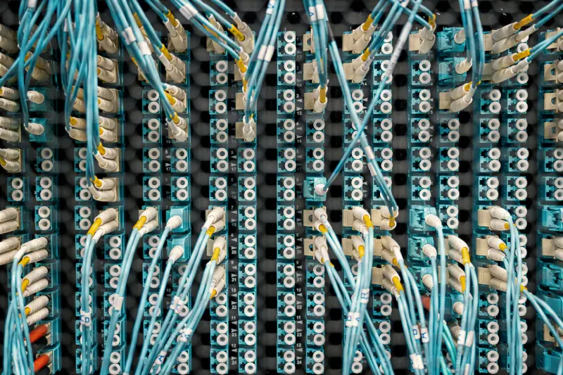 2025年全降解塑料袋政策新规对电商包装的影响分析
