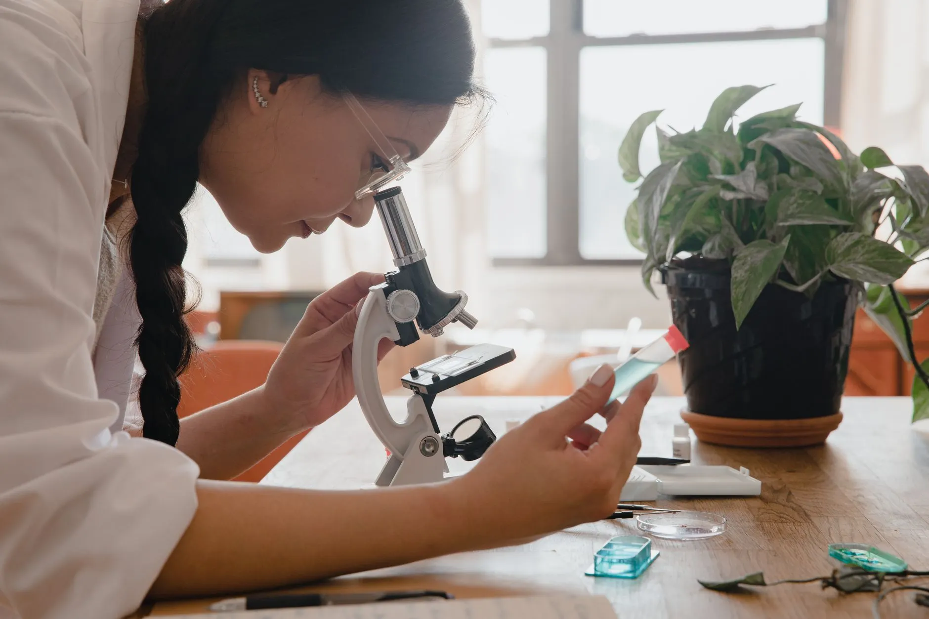 全降解塑料袋与生物降解膜：电商快递包装绿色转型的选型对比指南