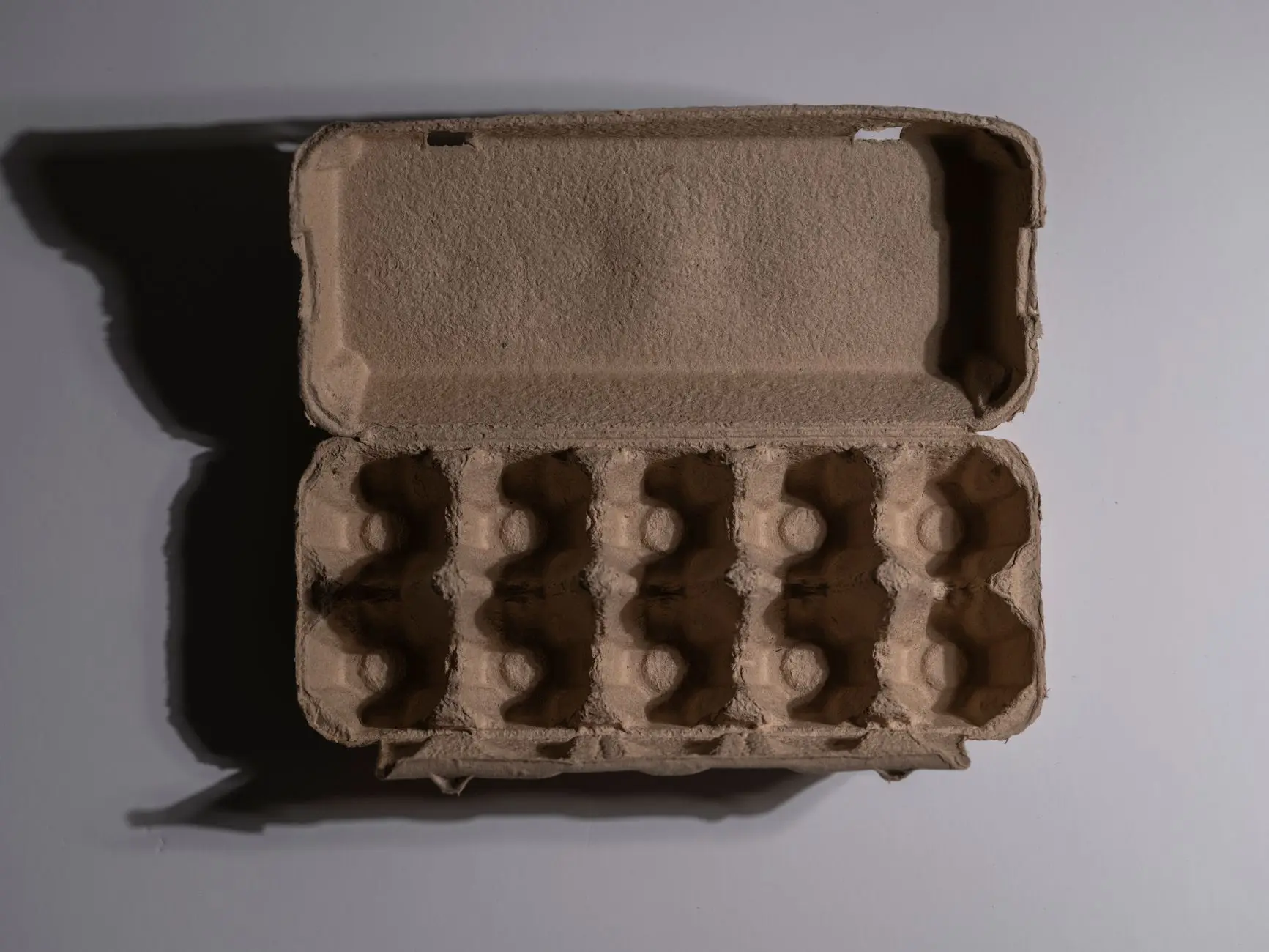 广东龙塑解读：生物降解膜与PLA吸管在餐饮包装中的协同应用方案正文配图 1