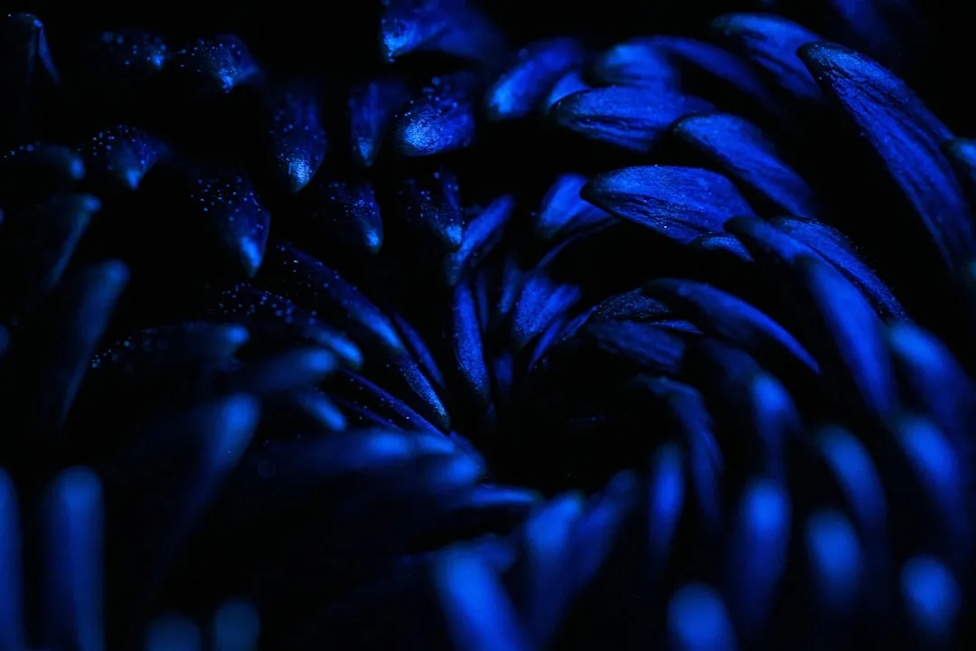 PLA吸管与生物降解膜：餐饮行业绿色包装的产品选型对比