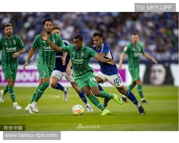 沙尔克04主场赢球,保级前景乐观 沙尔克04主场赢球,保级前景乐观